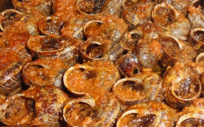 Bover snails a la llauna (seasoned and cooked)